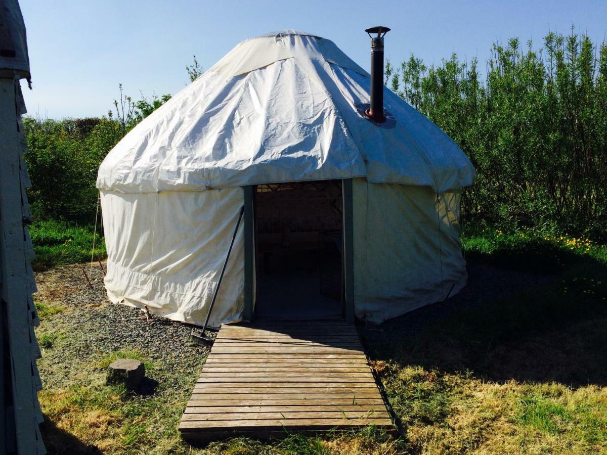Mill Haven Place Glamping-Yurt 1 Talbenny Dış mekan fotoğraf