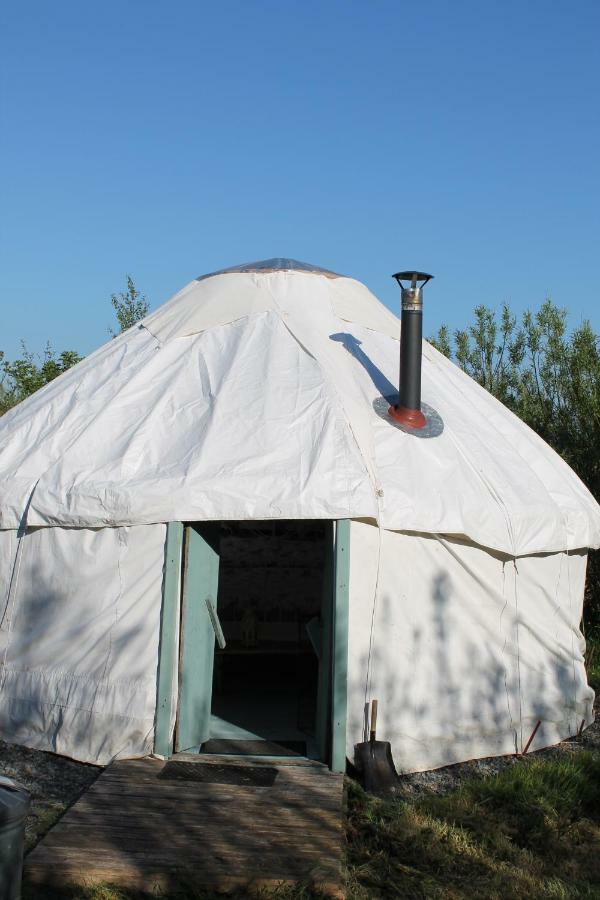 Mill Haven Place Glamping-Yurt 1 Talbenny Dış mekan fotoğraf