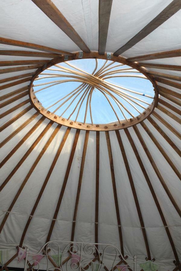 Mill Haven Place Glamping-Yurt 1 Talbenny Dış mekan fotoğraf
