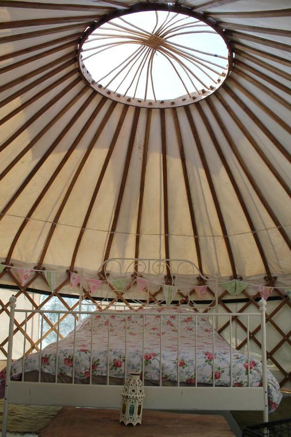 Mill Haven Place Glamping-Yurt 1 Talbenny Dış mekan fotoğraf