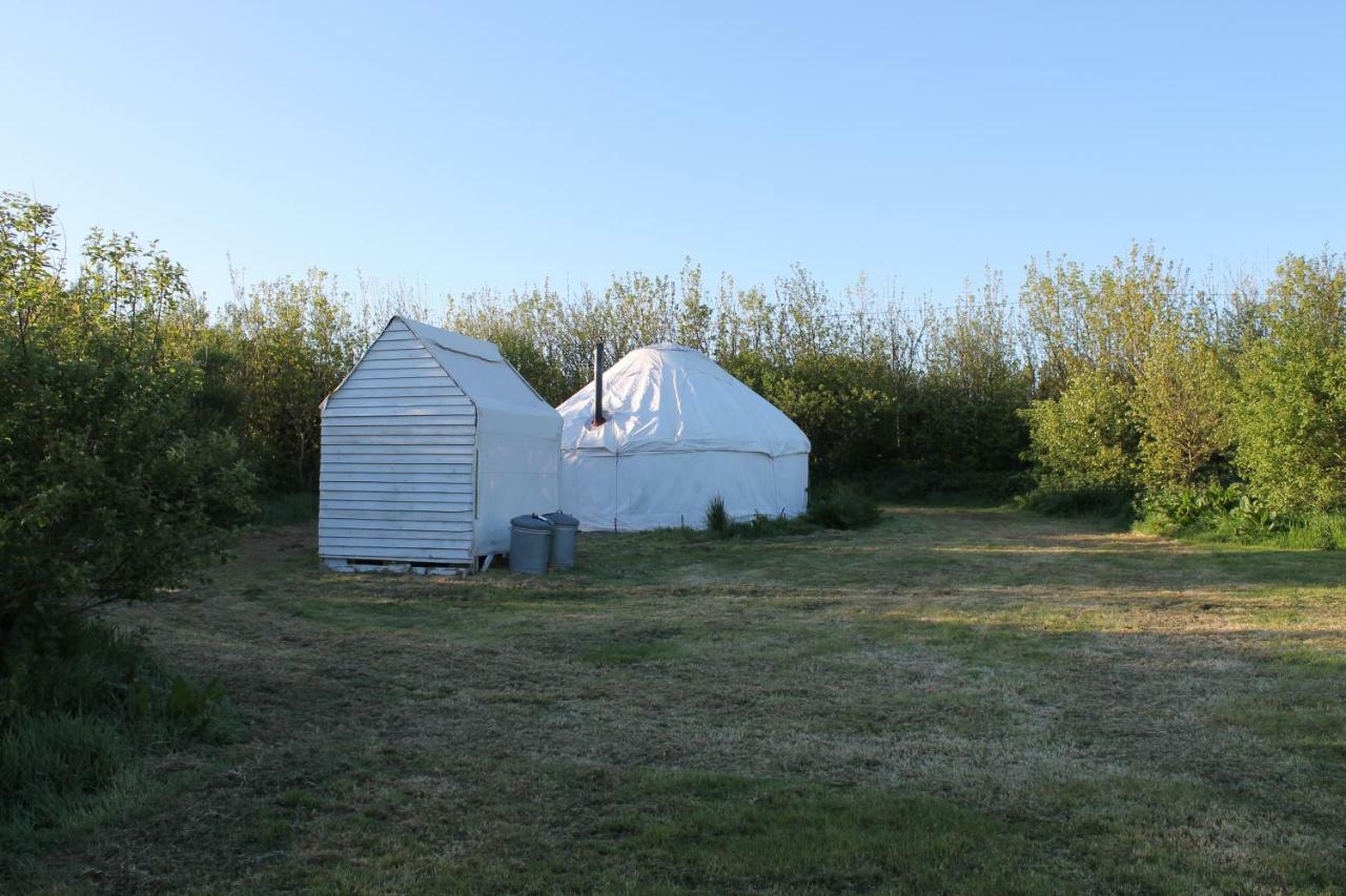 Mill Haven Place Glamping-Yurt 1 Talbenny Dış mekan fotoğraf