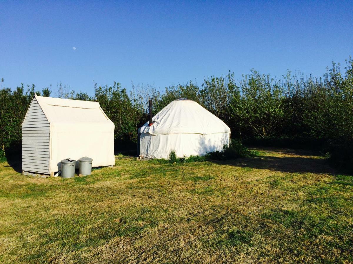 Mill Haven Place Glamping-Yurt 1 Talbenny Dış mekan fotoğraf